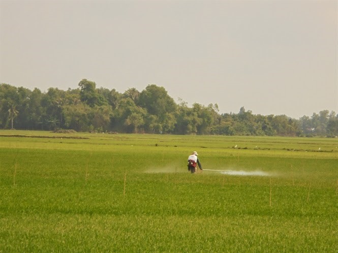 20140728_thuocphongtrusaubenh