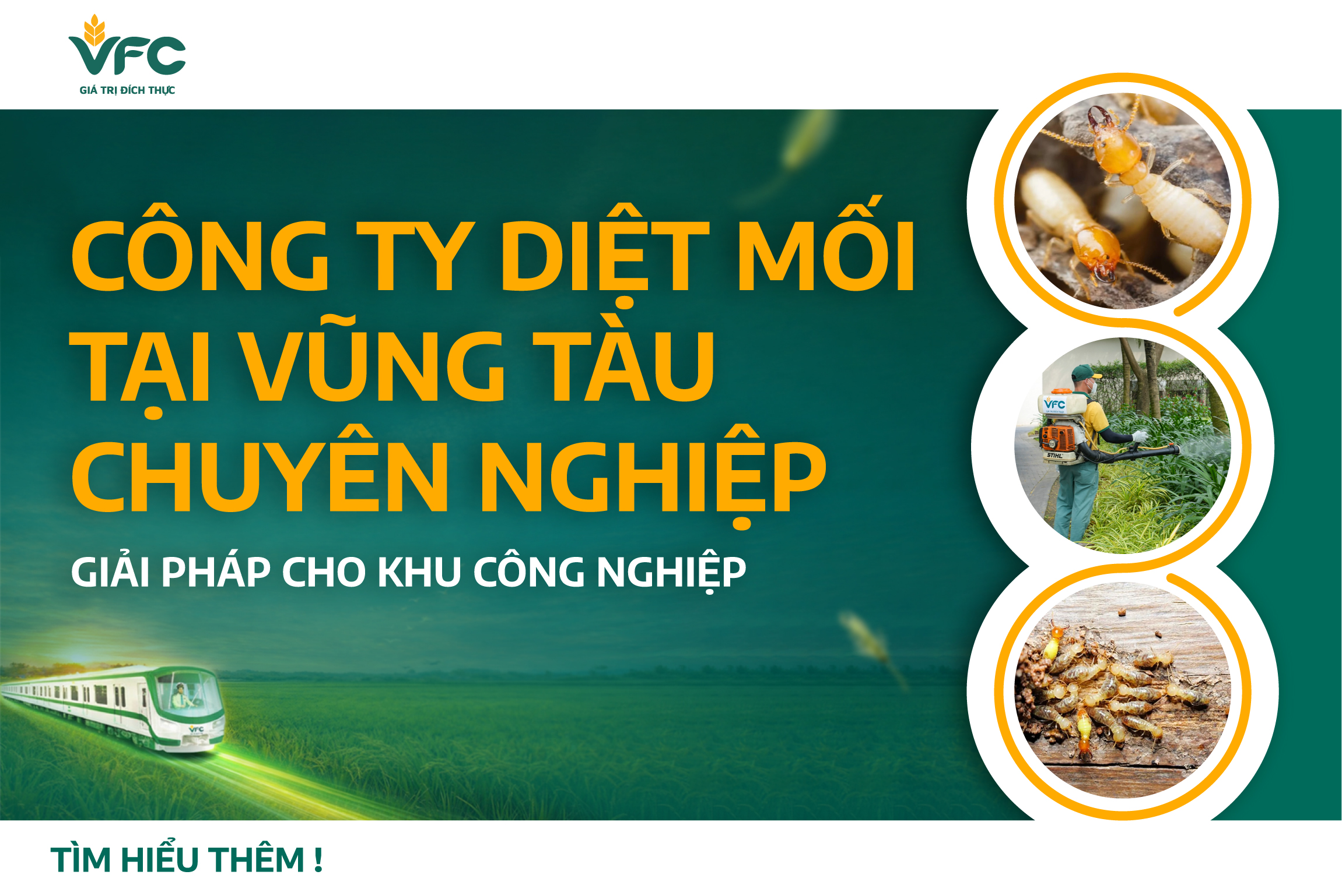 Công Ty Diệt Mối Tại Vũng Tàu Chuyên Nghiệp: Giải Pháp Cho Khu Công Nghiệp