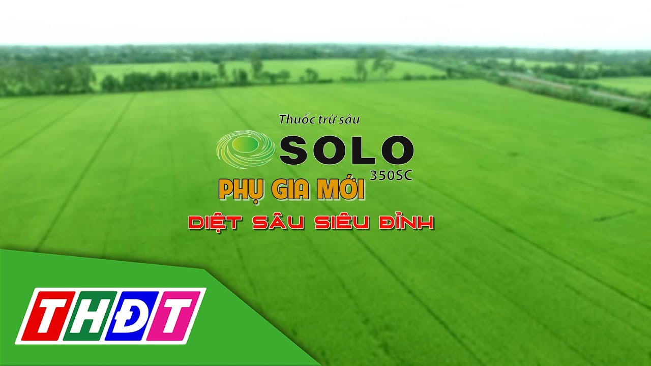 CDHN_2025_Số 8_SOLO 350SC - Phụ gia mới diệt sâu siêu đỉnh
