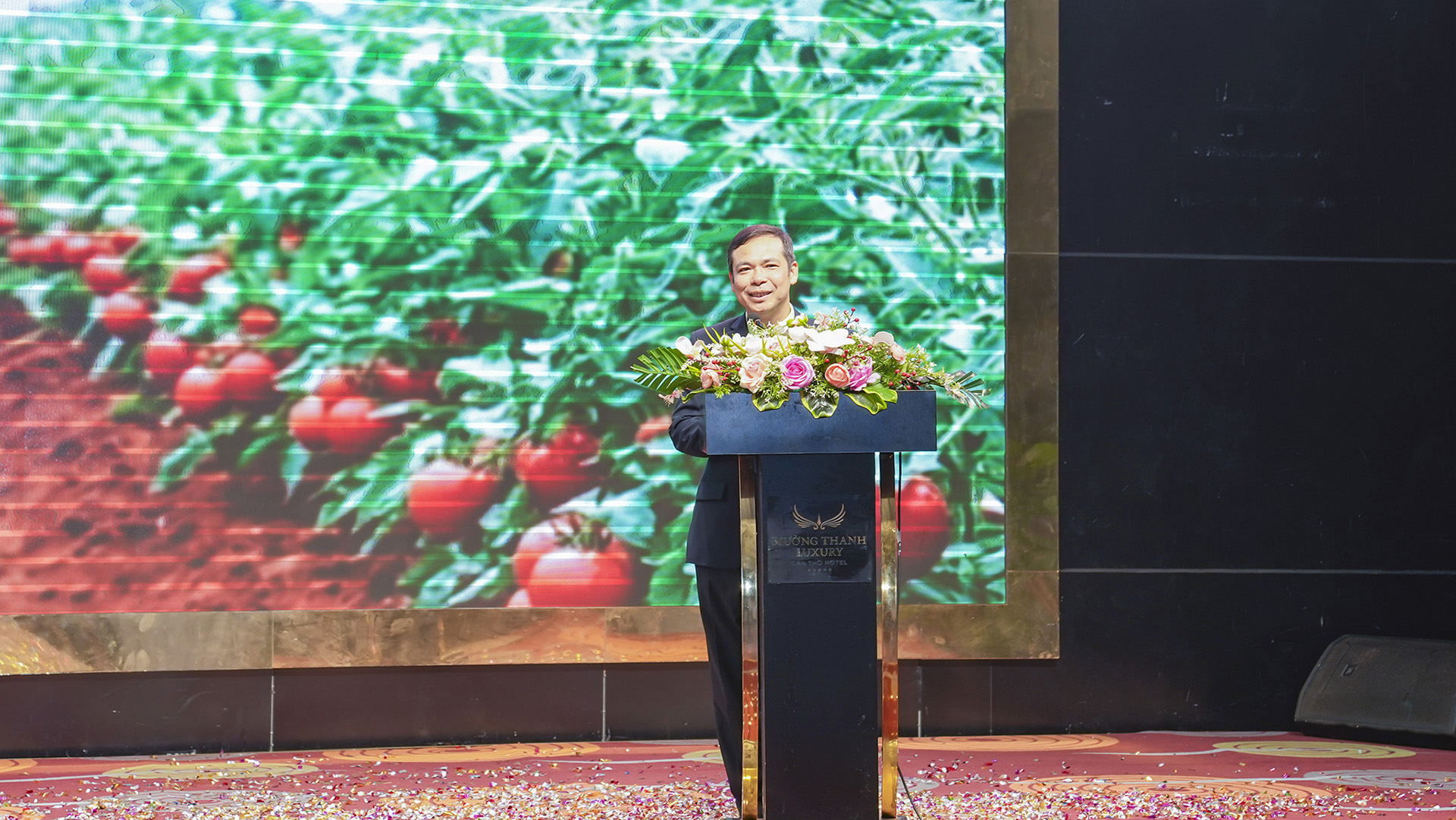 Ra-mat-Banjo-Forte (17)-1