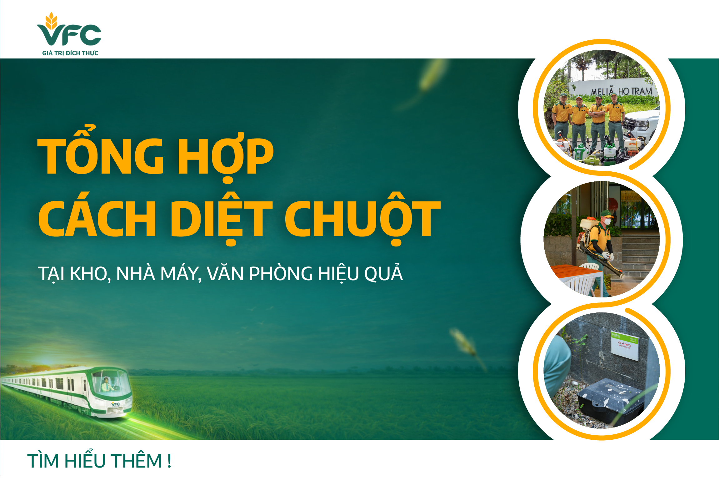 Tổng hợp cách diệt chuột tại kho, nhà máy, văn phòng hiệu quả