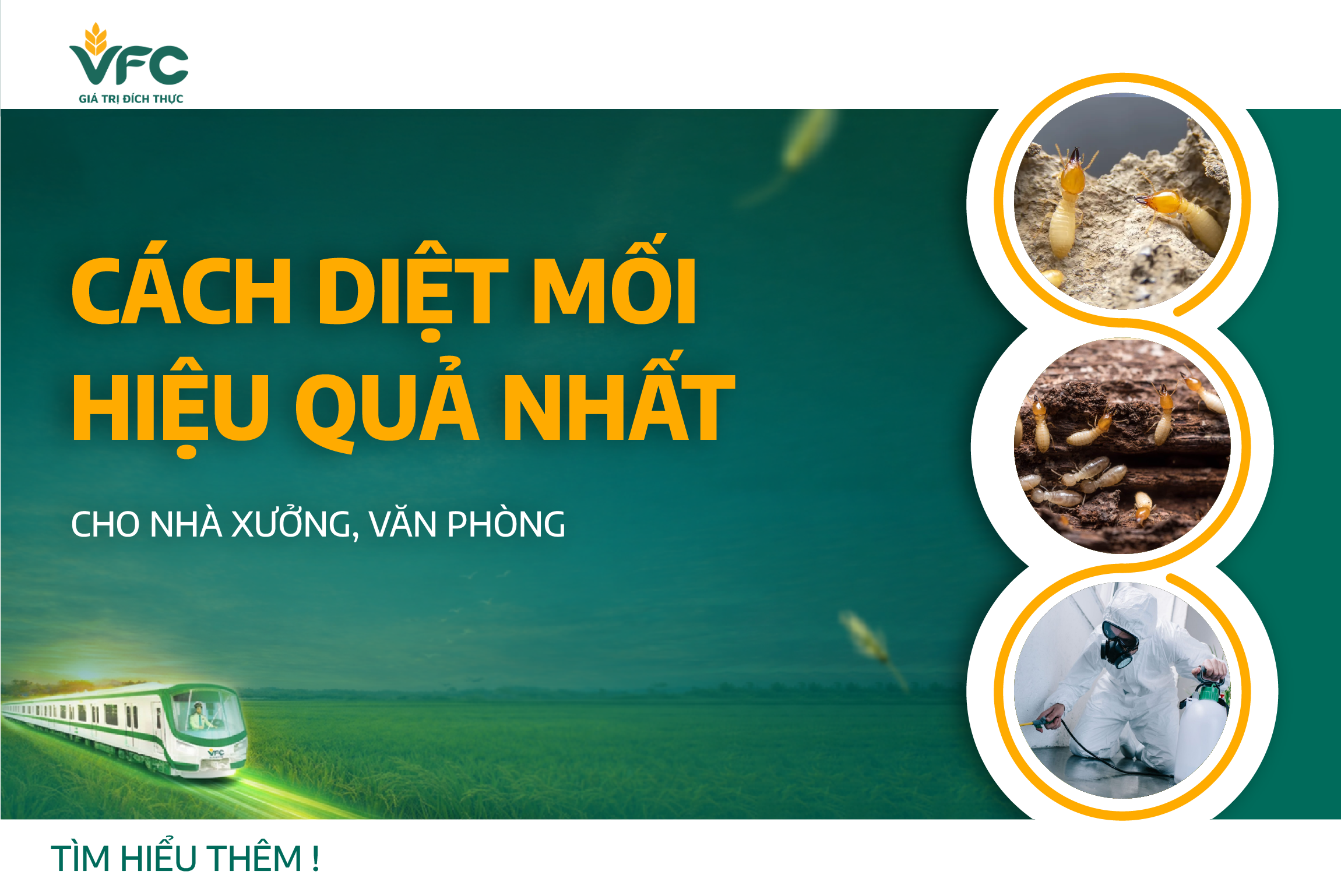 Cách diệt mối hiệu quả nhất cho nhà xưởng, văn phòng