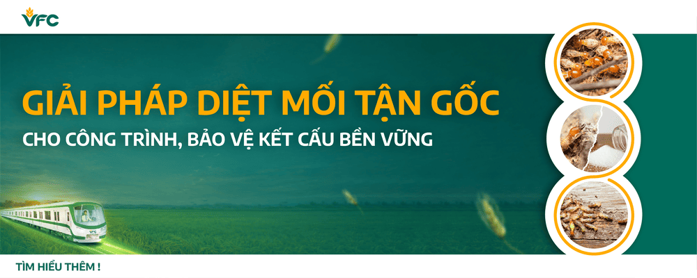 Giải pháp diệt mối tận gốc cho công trình, bảo vệ kết cấu bền vững
