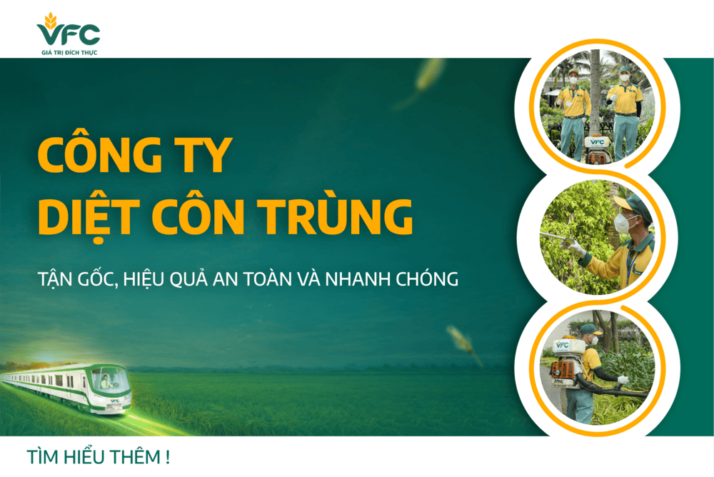 Công ty diệt côn trùng tận gốc, hiệu quả an toàn và nhanh chóng