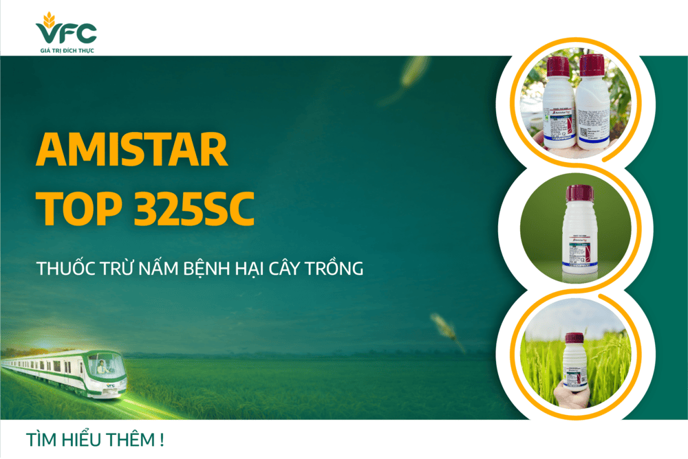 Thuốc trừ nấm bệnh hại cây trồng Amistar Top 325SC