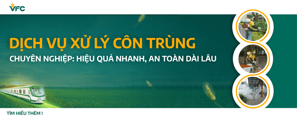 Dịch vụ xử lý côn trùng chuyên nghiệp: Hiệu quả nhanh, an toàn dài lâu