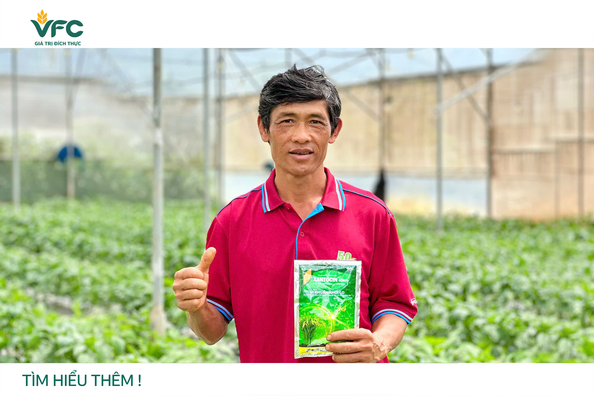[Kỳ 6] Chủ động quản lý bệnh vi khuẩn trên rau màu mùa mưa