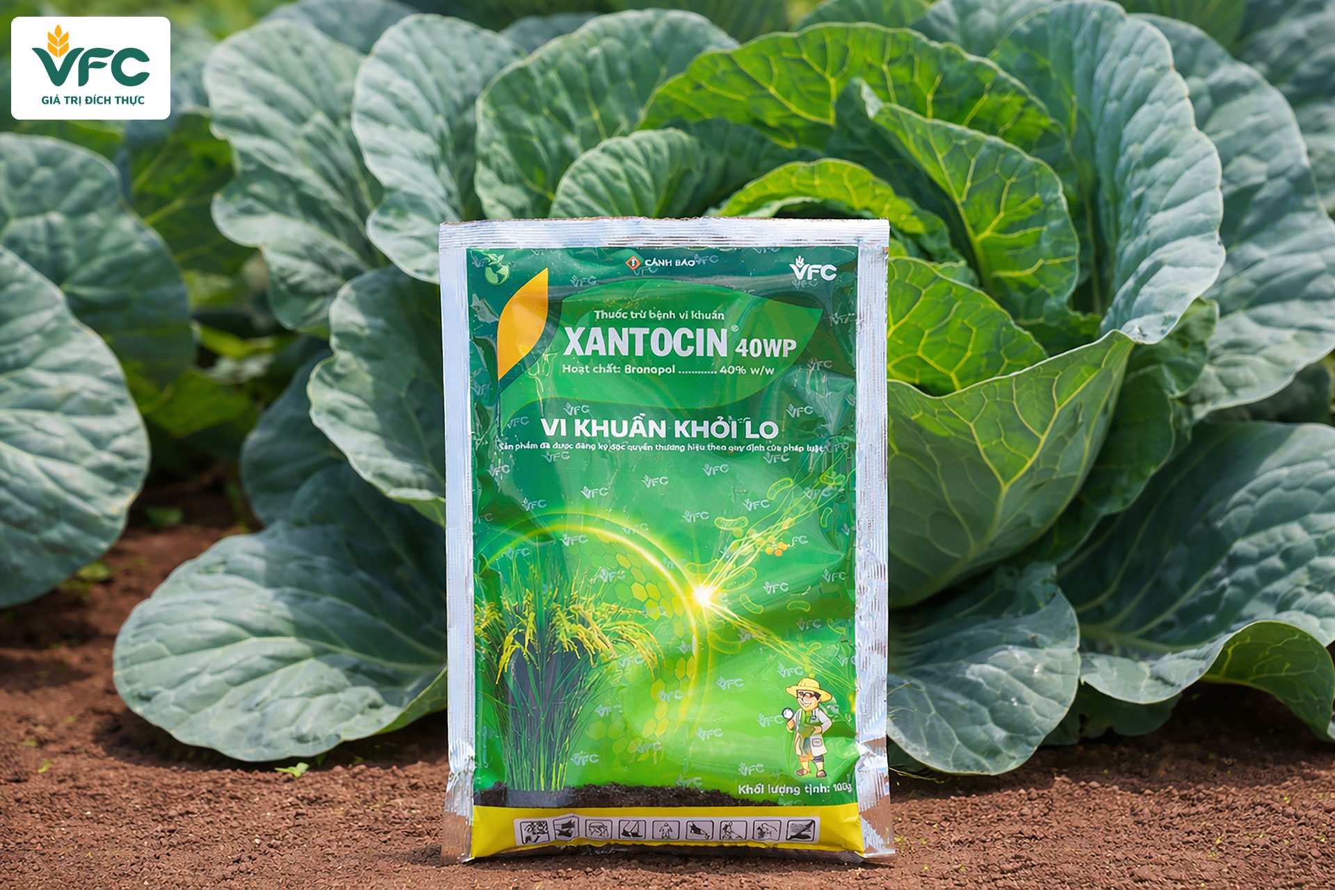 xantoxin_40wb_sat_khuan_manh_va_kich_thich_tinh_khang