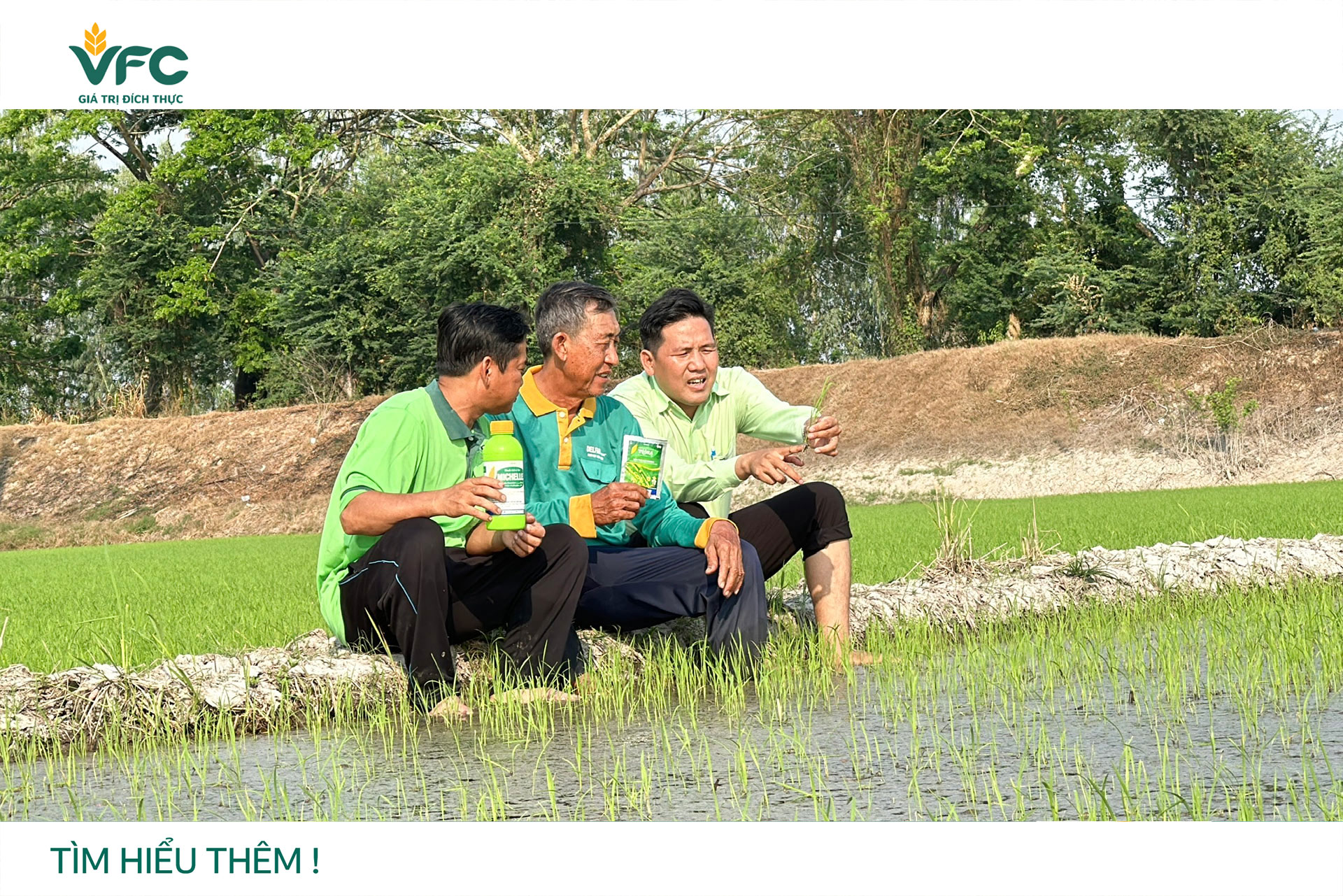 Khi giải pháp canh tác đồng hành cùng nông sản chất lượng cao