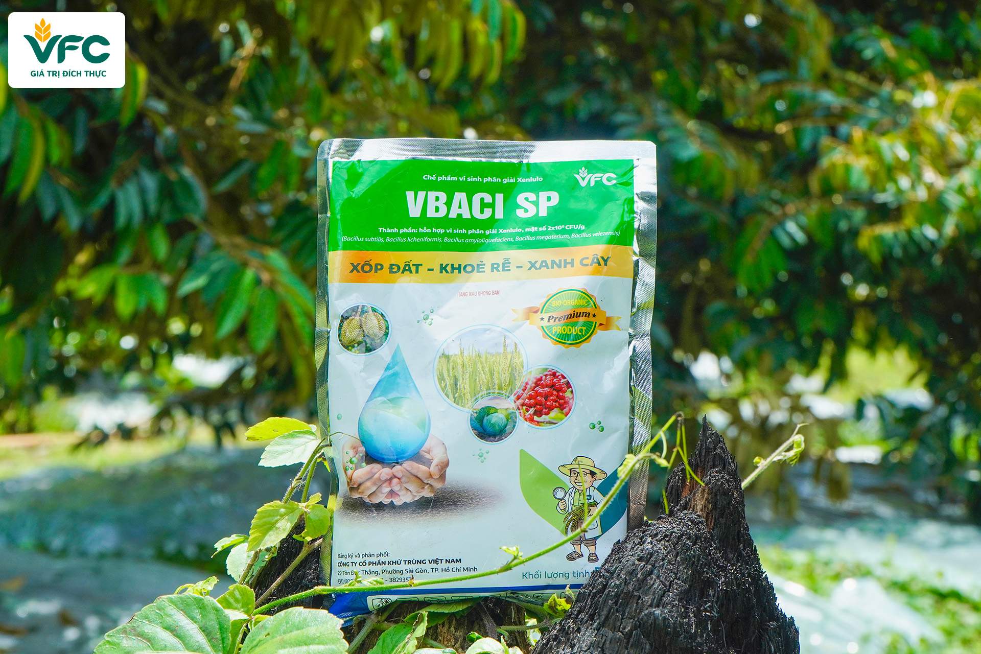vbaci sp_vuon_cay