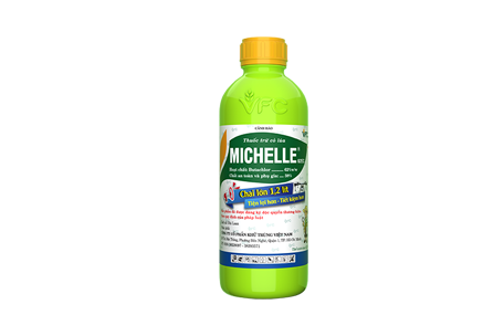 Michelle 62EC